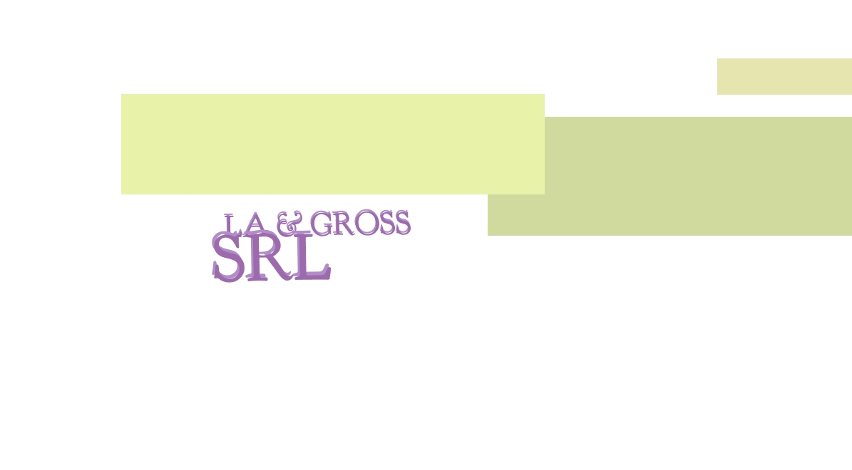 La & Gross Srl