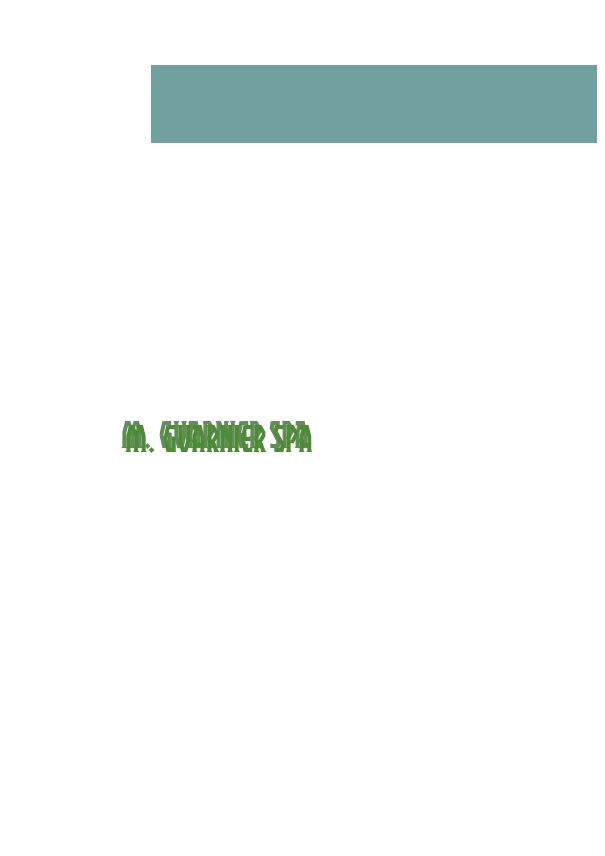 M. Guarnier SpA