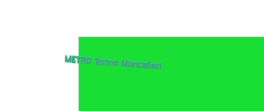 METRO Torino Moncalieri