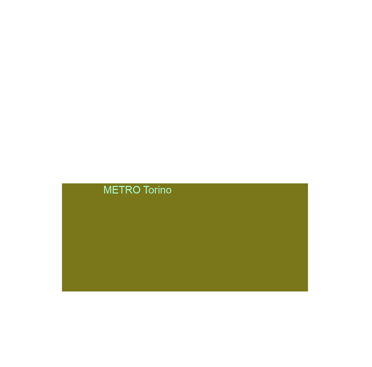 METRO Torino