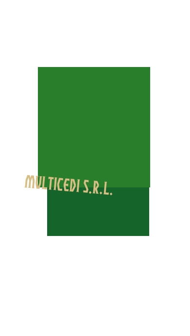 Multicedi Srl