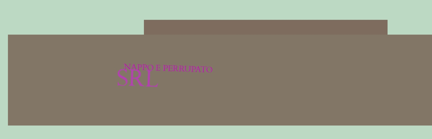 Nappo e Perrupato Srl