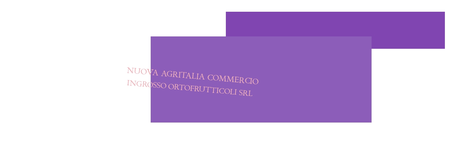 Nuova Agritalia Commercio Ingrosso Ortofrutticoli Srl