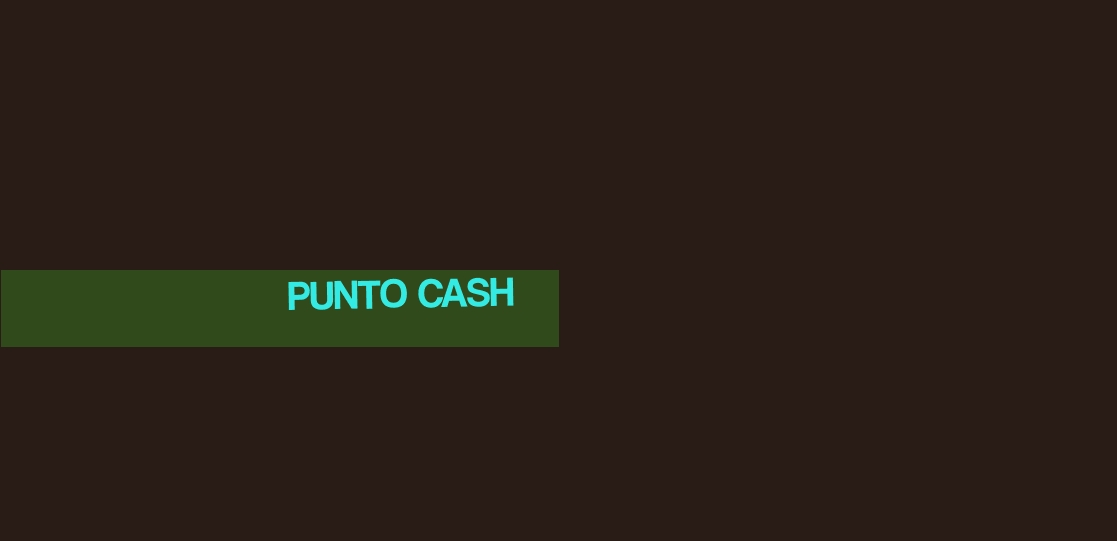 Punto Cash