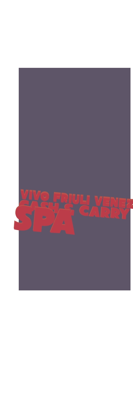 Vivo Friuli Venezia Cash & Carry SpA