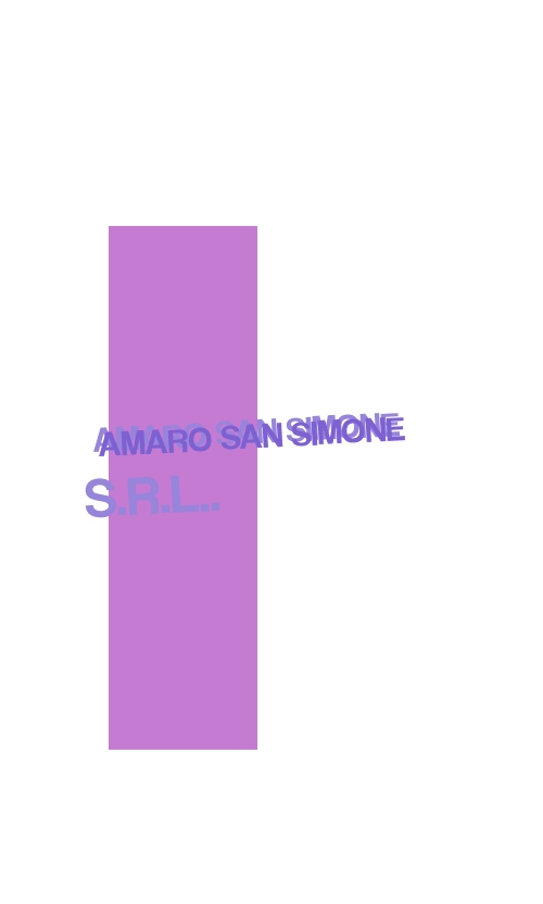 logo Amaro San Simone Srl.