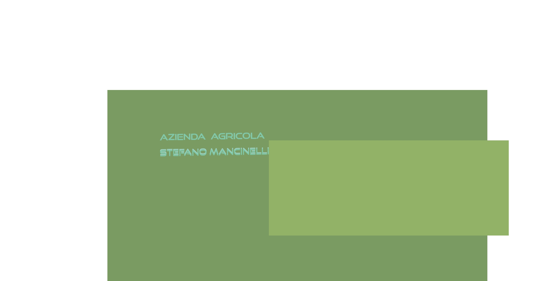 logo Azienda Agricola Stefano Mancinelli