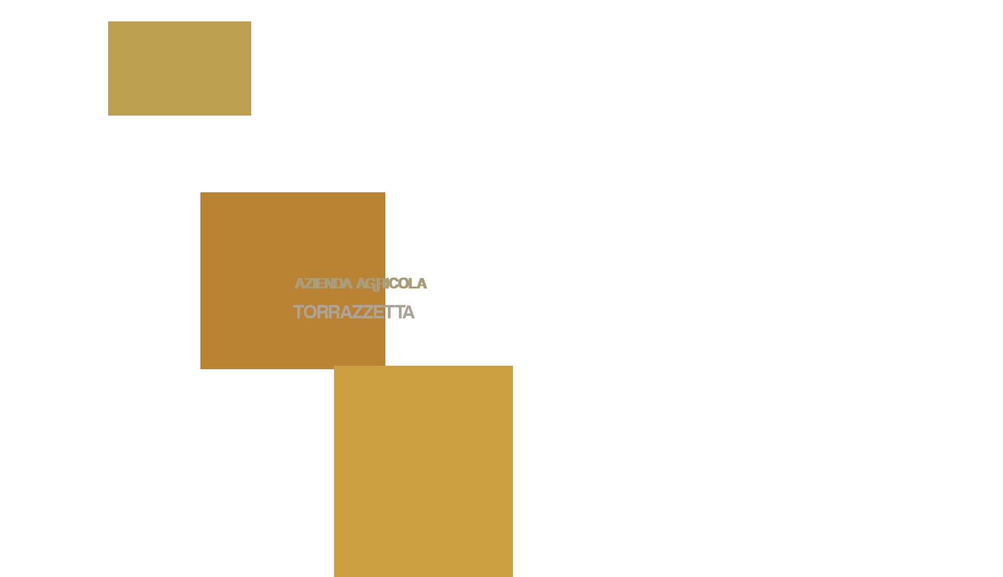 Azienda Agricola Torrazzetta Azienda Agricola Torrazzetta