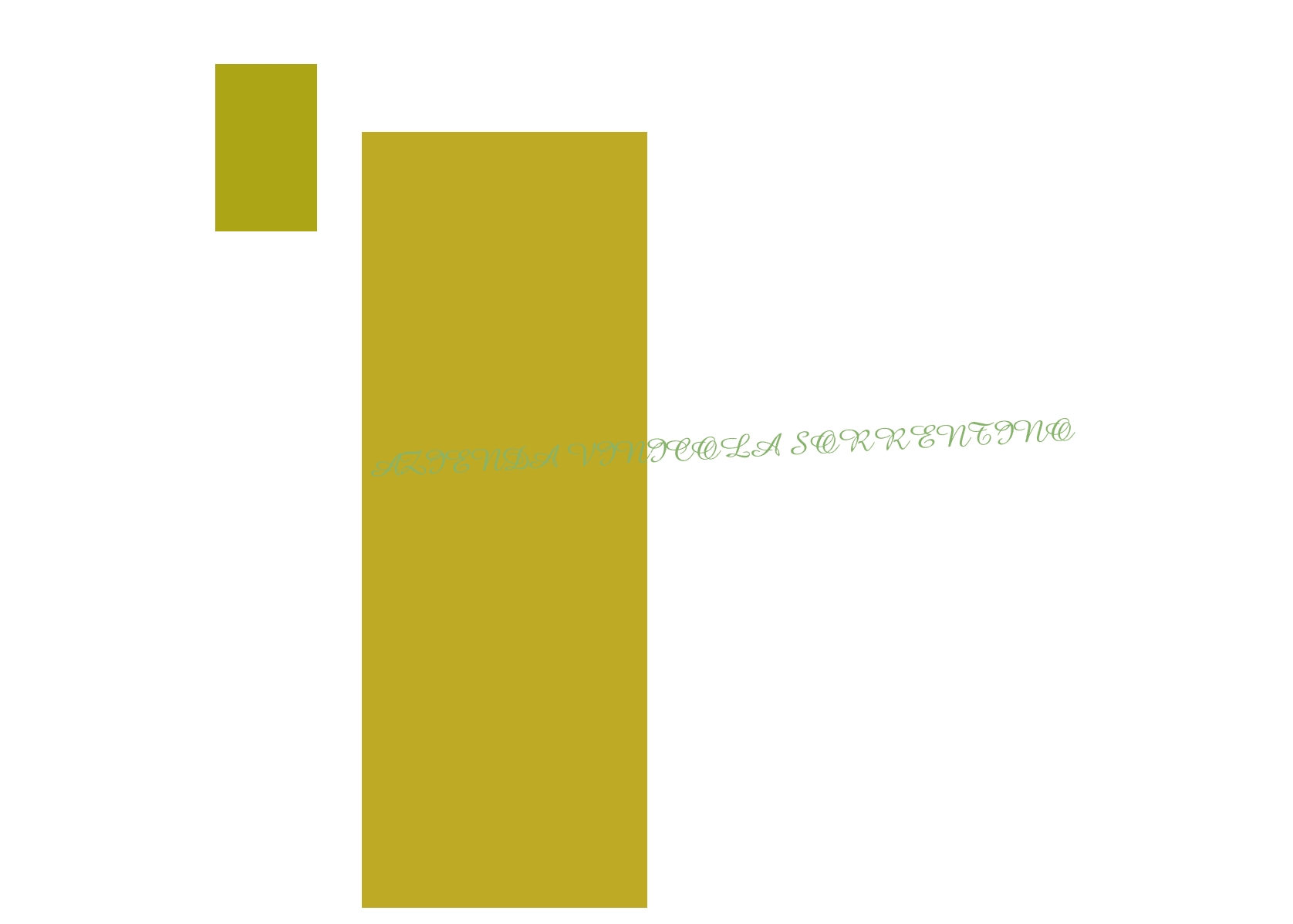 Azienda Vinicola Sorrentino