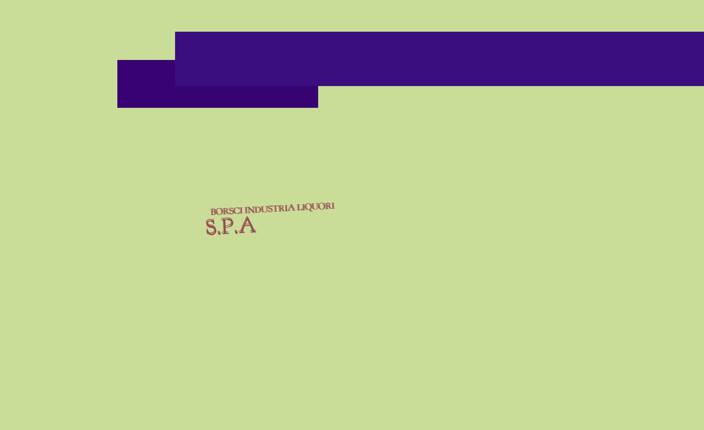 Borsci S.Marzano Srl