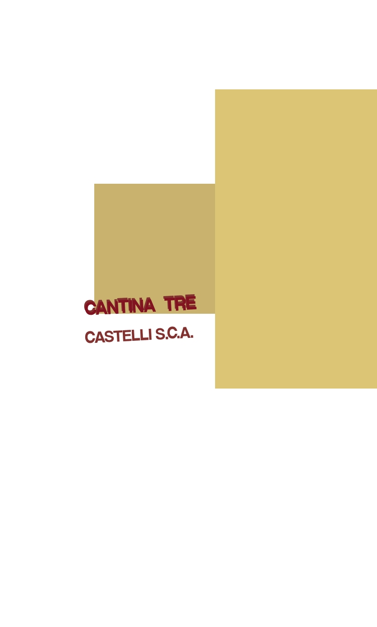 logo Cantina Tre Castelli S.C.A.