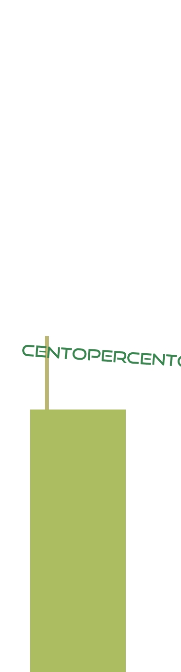 Centopercento Srl