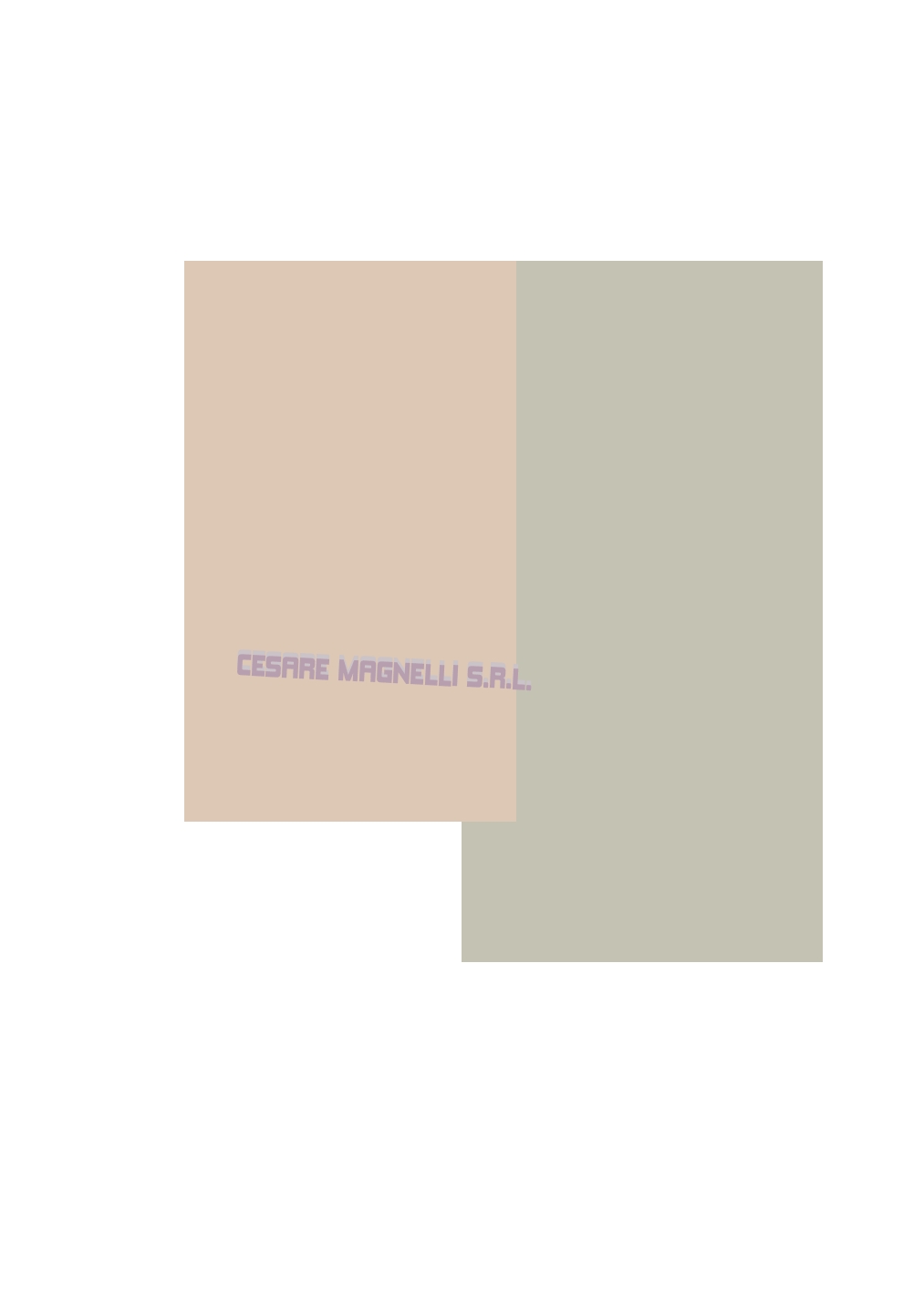 Cesare Magnelli Srl Cesare Magnelli Srl