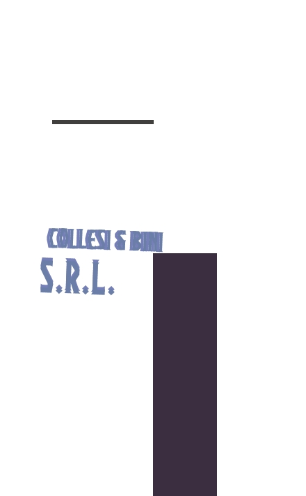 Collesi & Bini Srl