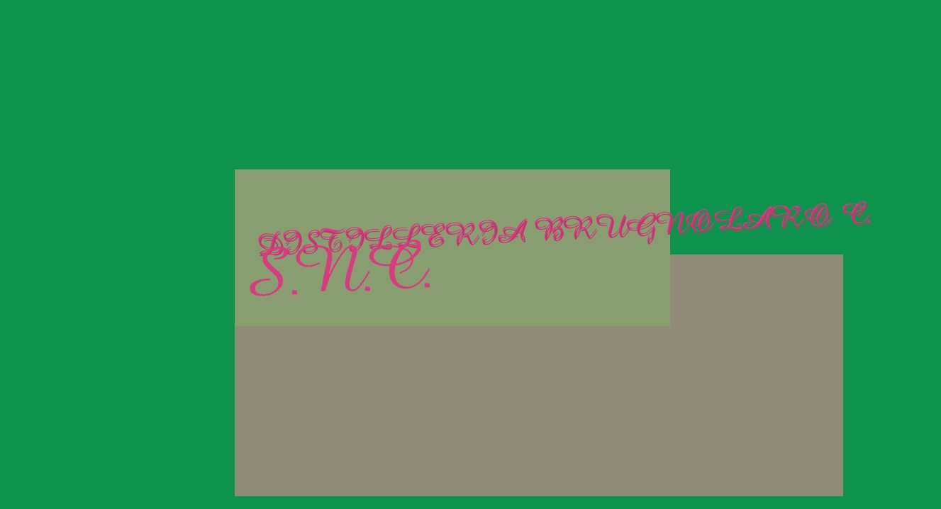 Distilleria Brugnolaro C. Snc