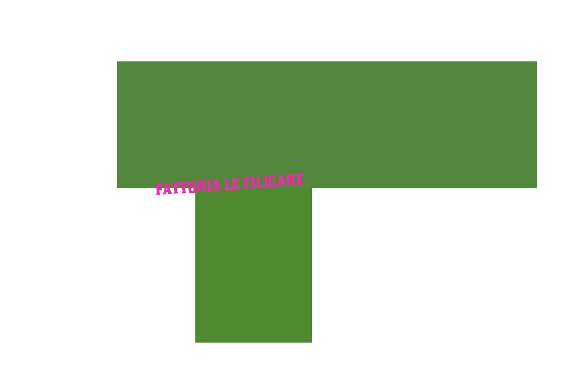 Fattoria Le Filigare