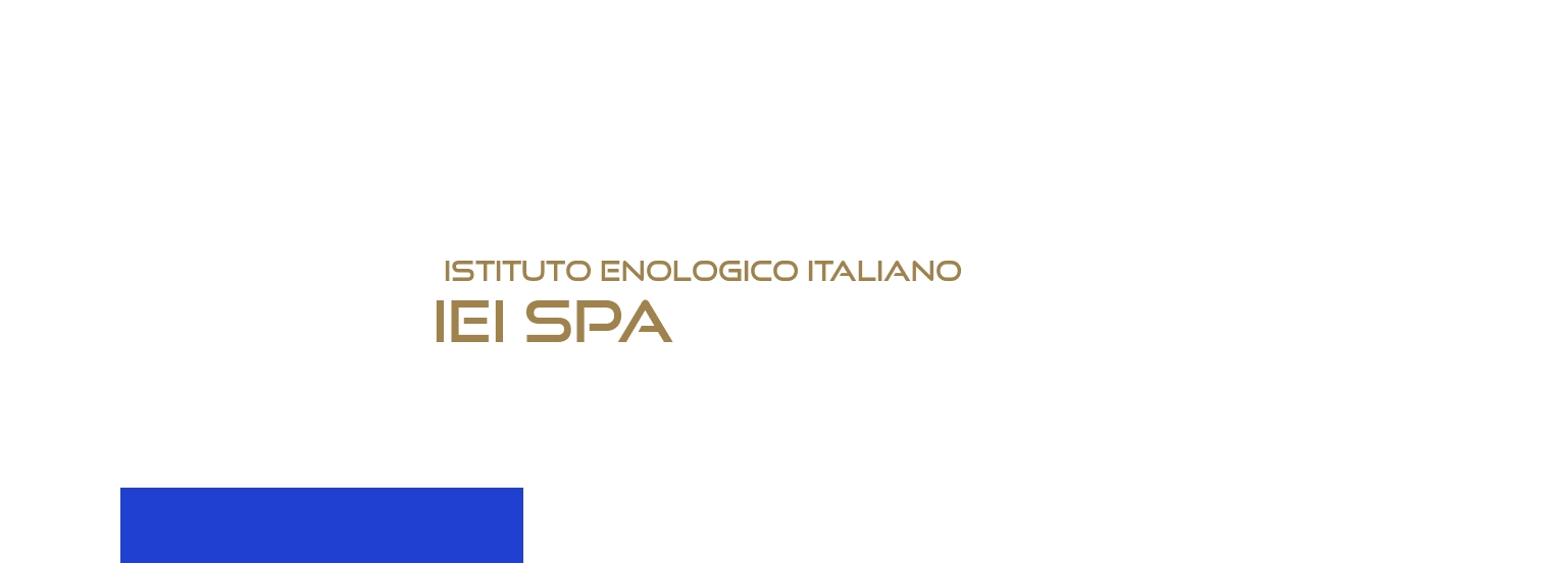 logo Istituto Enologico Italiano Iei Spa
