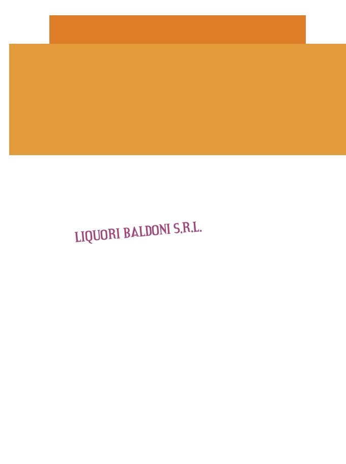 logo Liquori Baldoni Srl