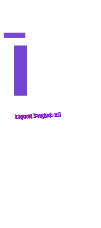 Liquori Pregiati Srl