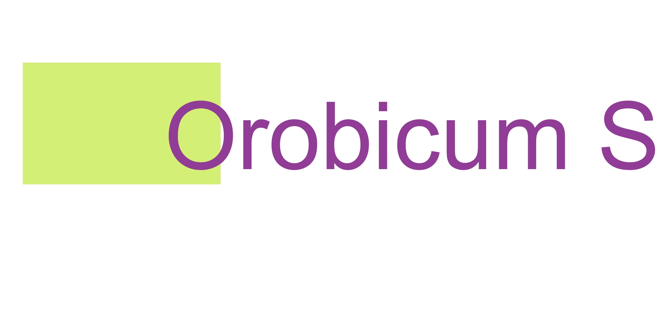 Orobicum Srl