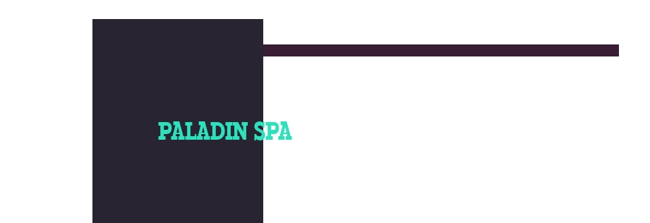 logo Paladin Spa