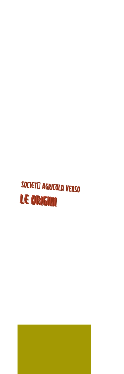 Società Agricola Verso le Origini