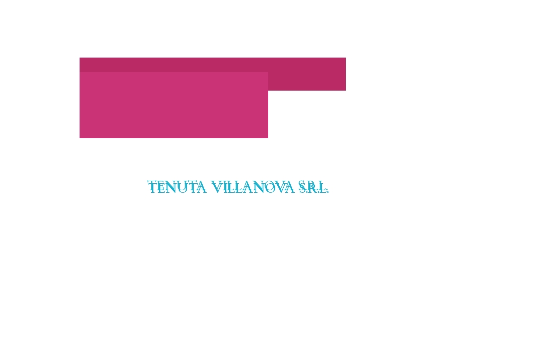 Tenuta Villanova Srl Tenuta Villanova Srl