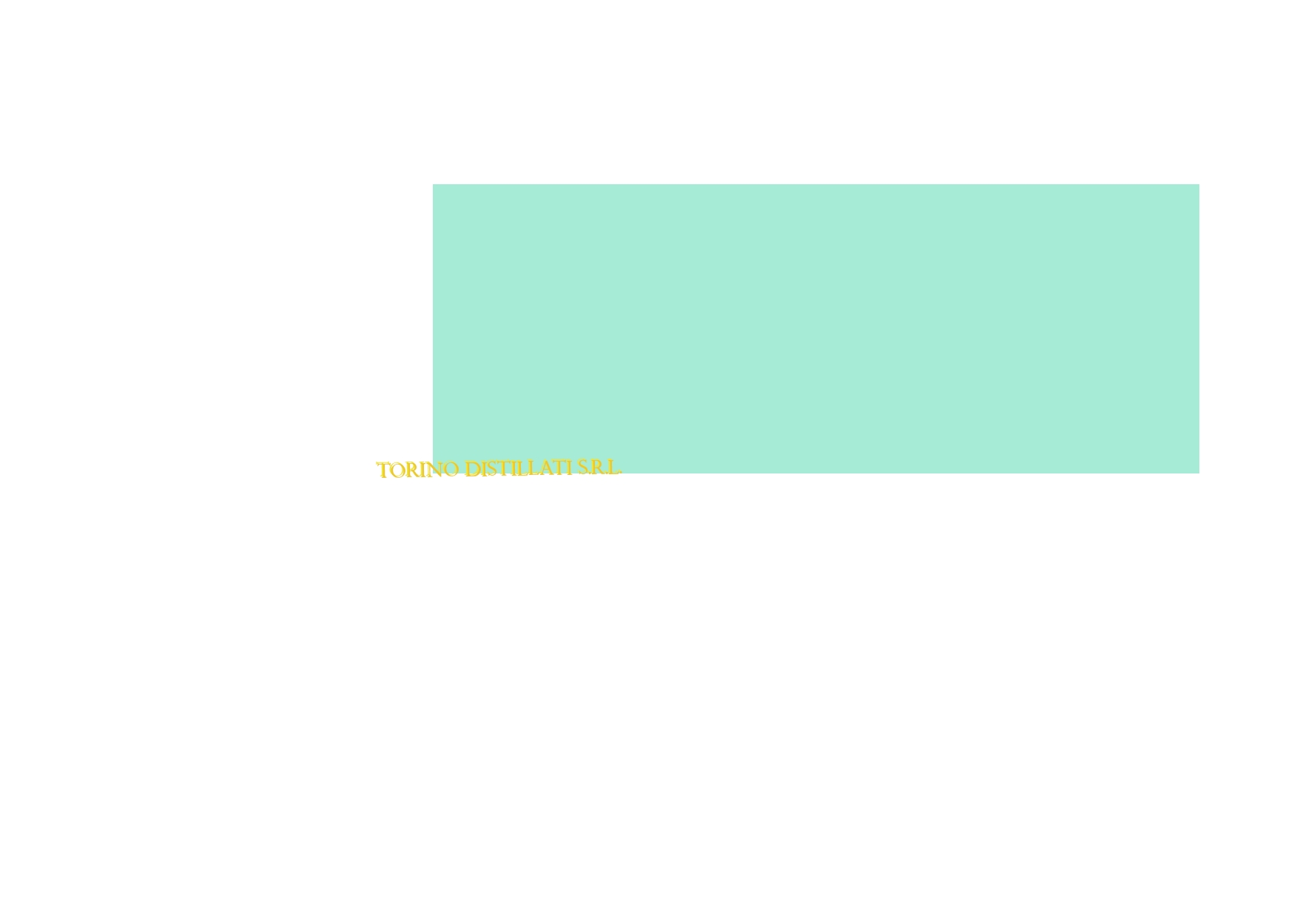 Torino Distillati Srl