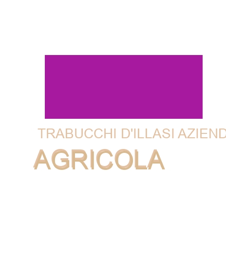 logo Trabucchi D‘Illasi Azienda Agricola
