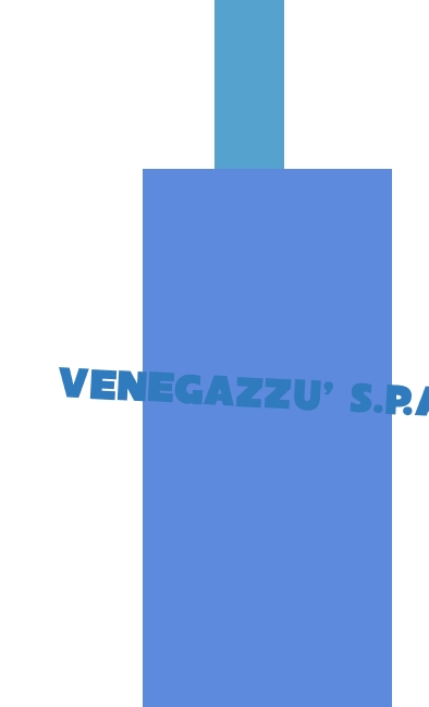 logo Venegazzù SpA