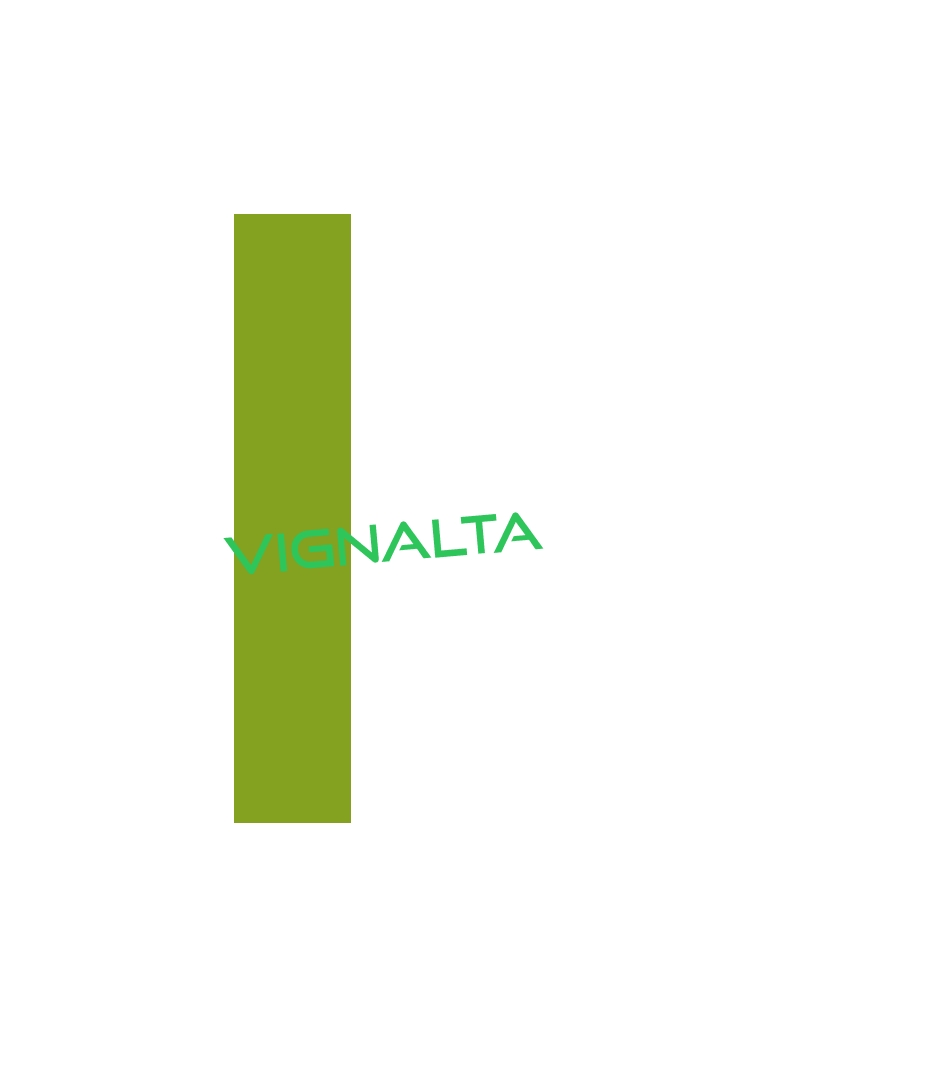 logo Vignalta