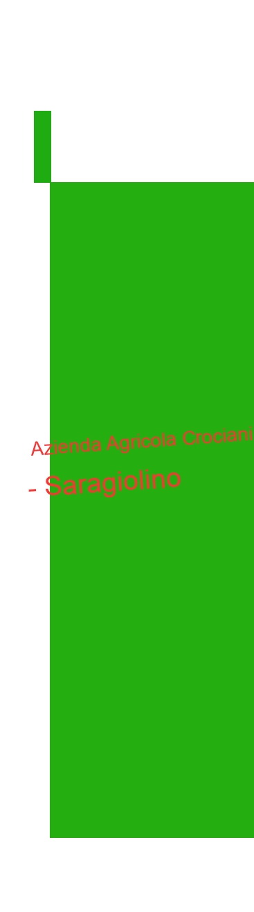 Azienda Agricola Crociani - Saragiolino