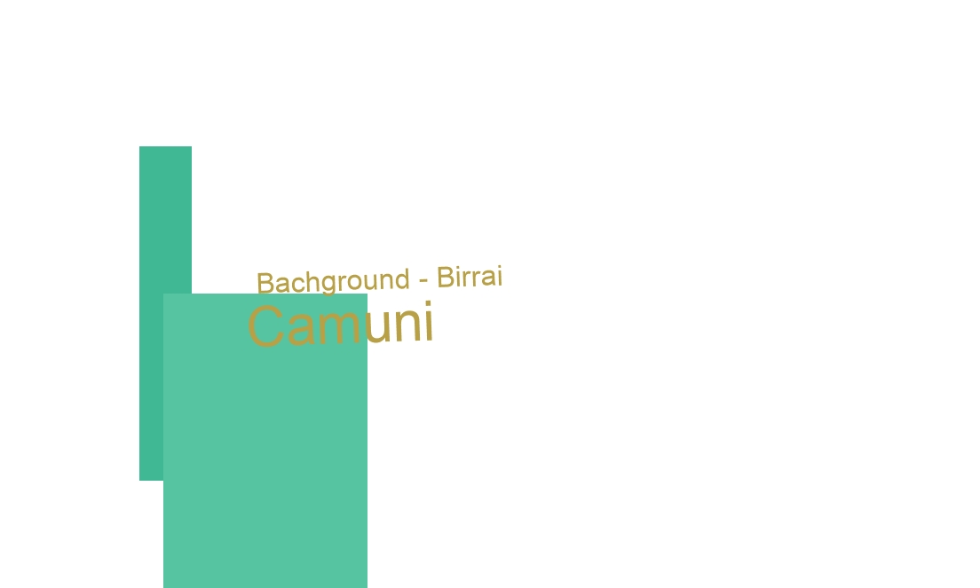 logo Bachground - Birrai Camuni