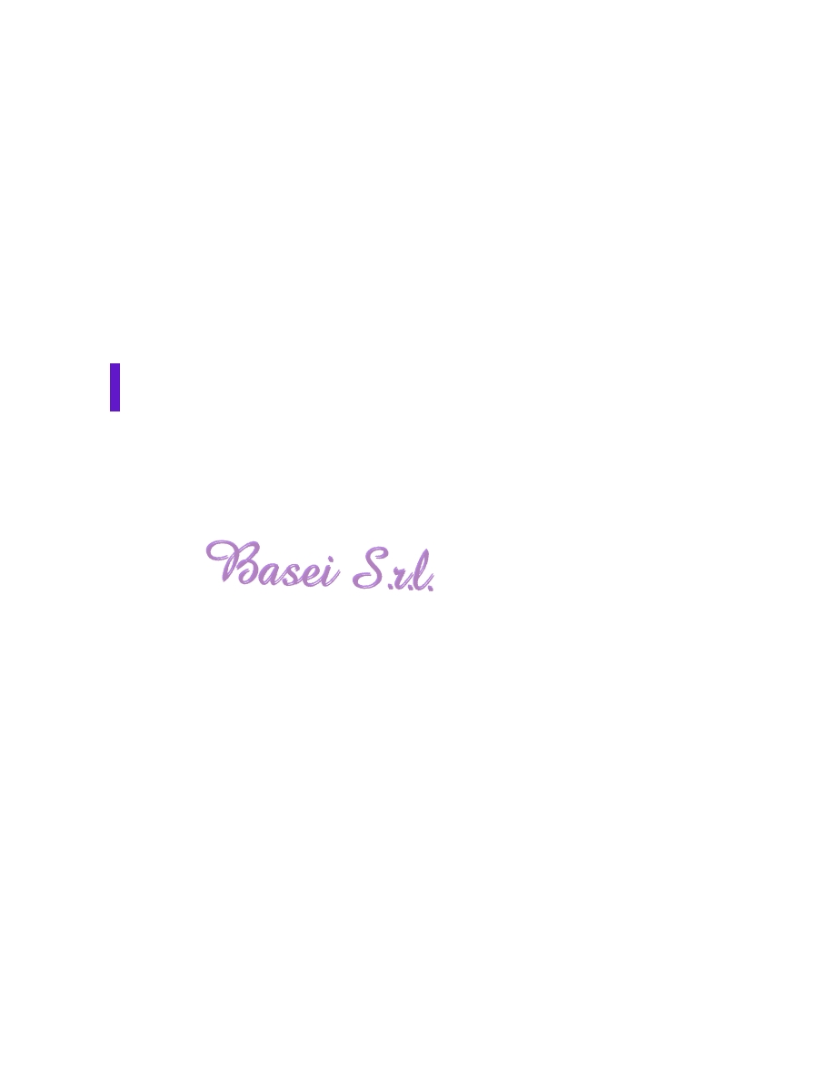 Basei S.r.l.