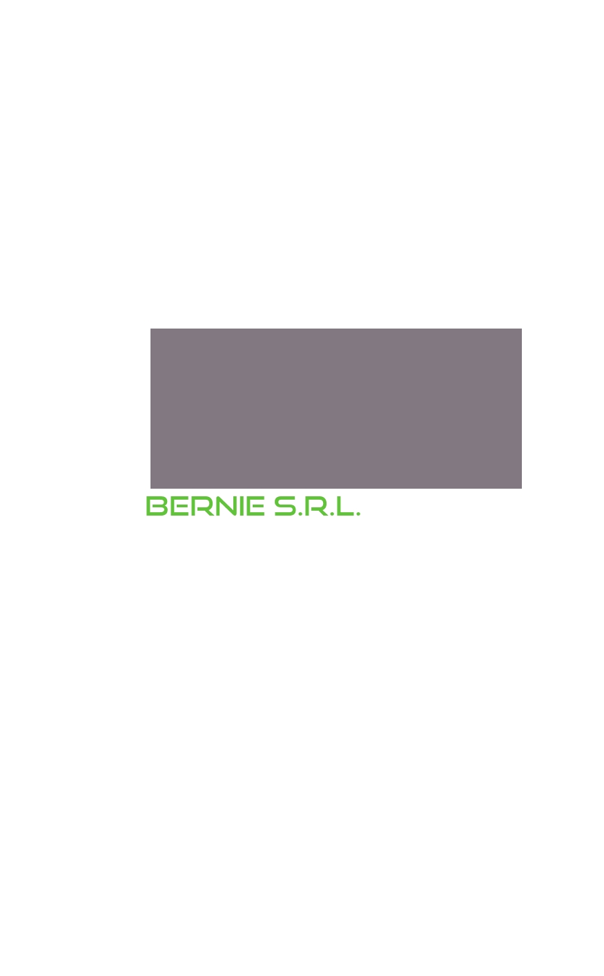 logo Bernie S.r.l.