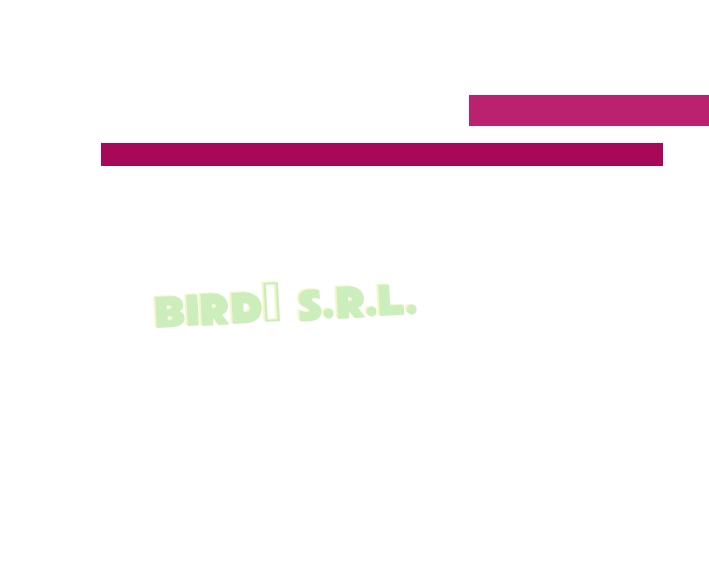 Birdò S.r.l.