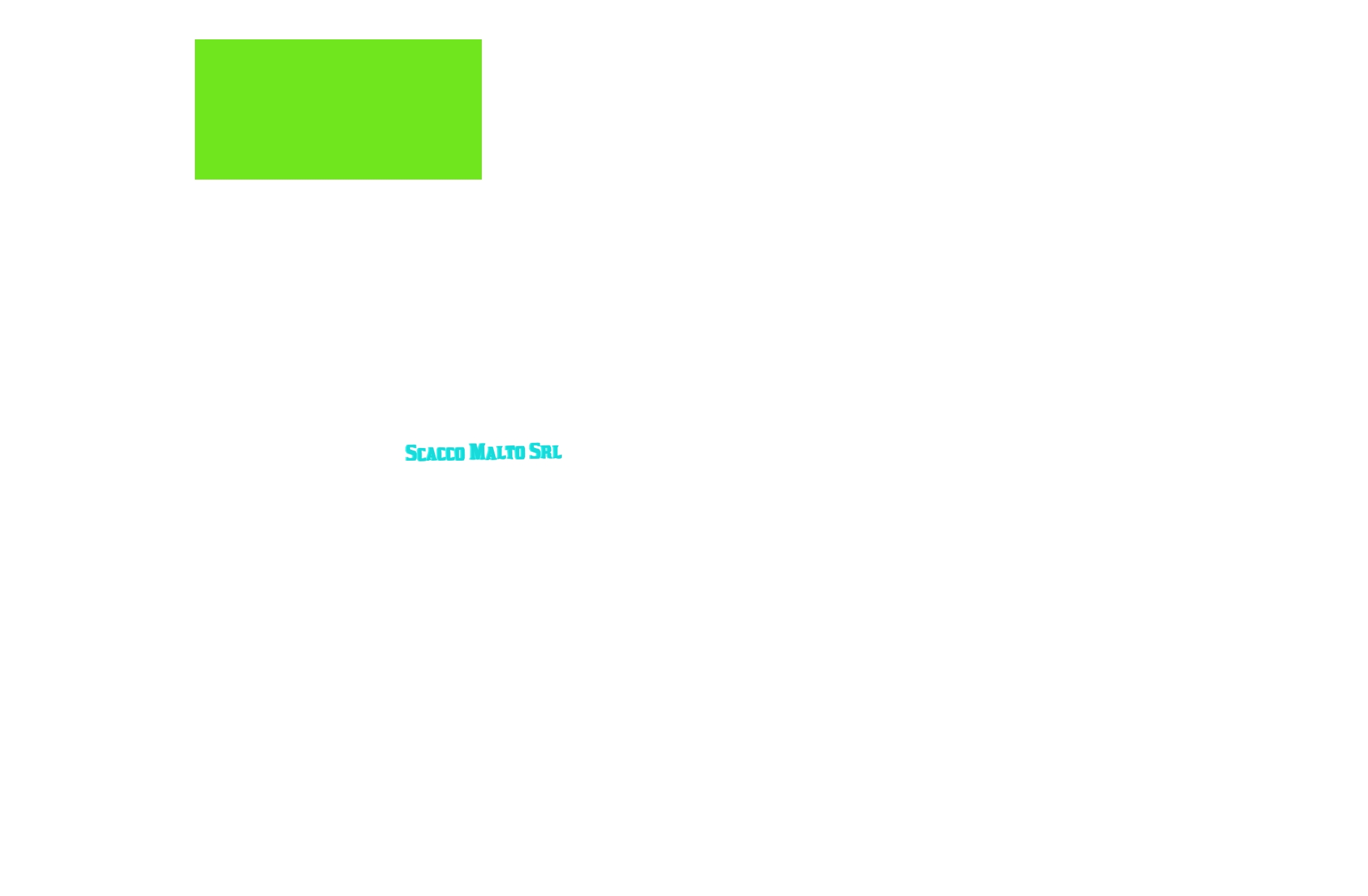 Scacco Malto Srl Scacco Malto Srl