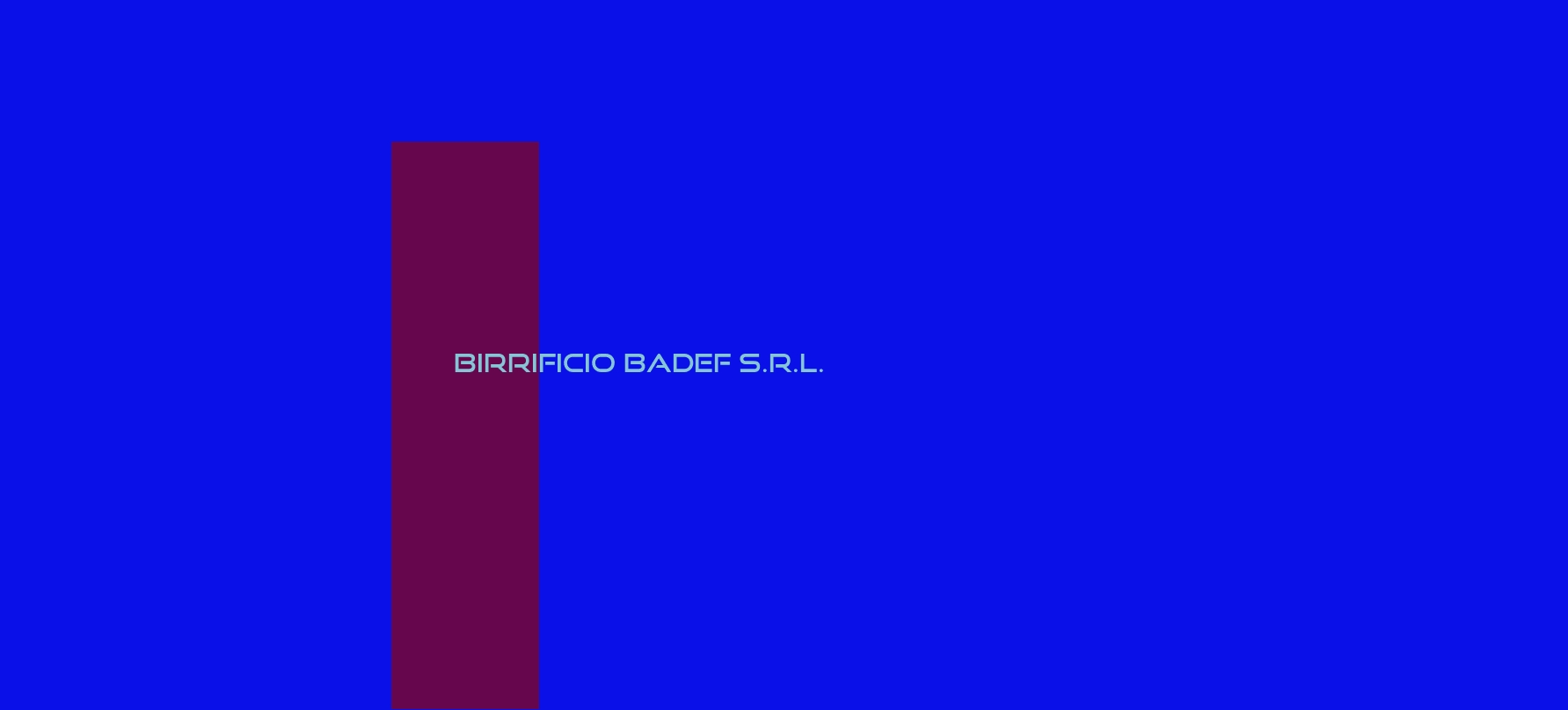 logo Birrificio Badef S.r.l.