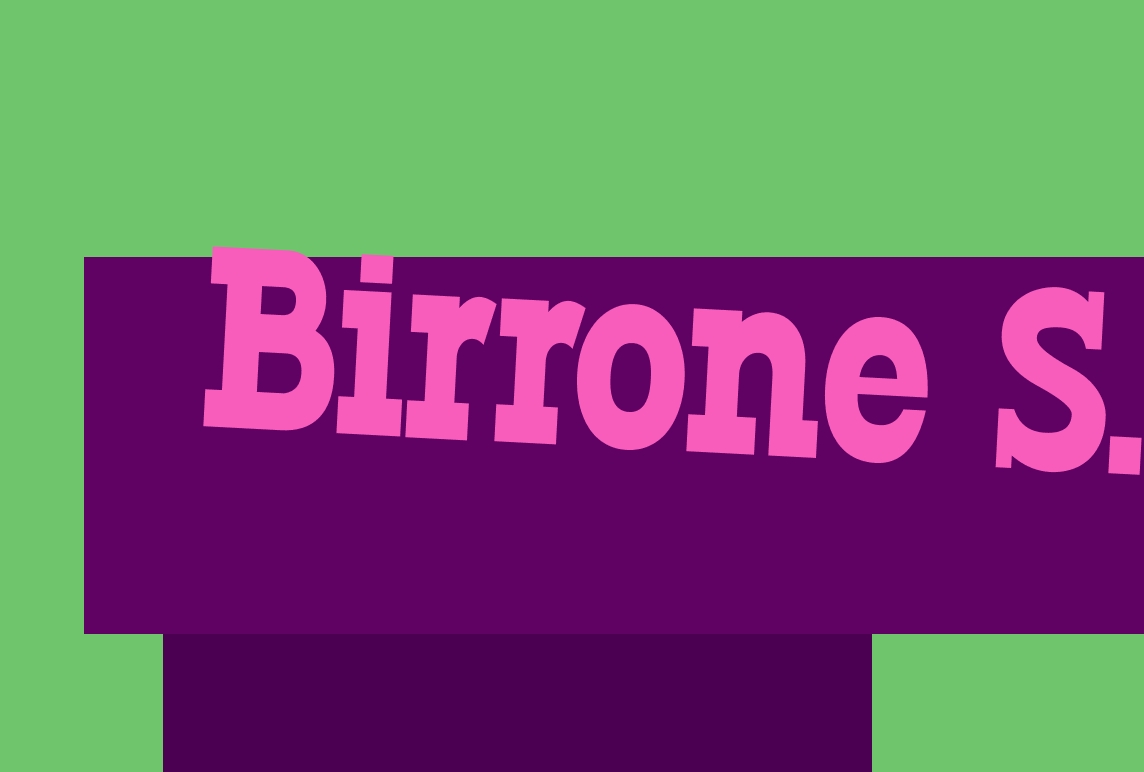 logo Birrone S.r.l.