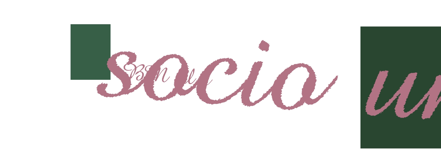 BM srl a socio unico