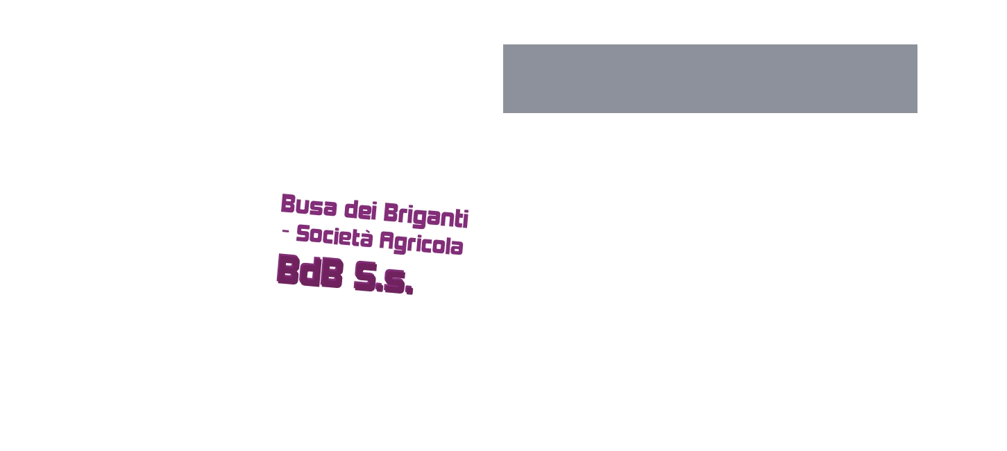 logo Busa dei Briganti - Società Agricola BdB S.s.