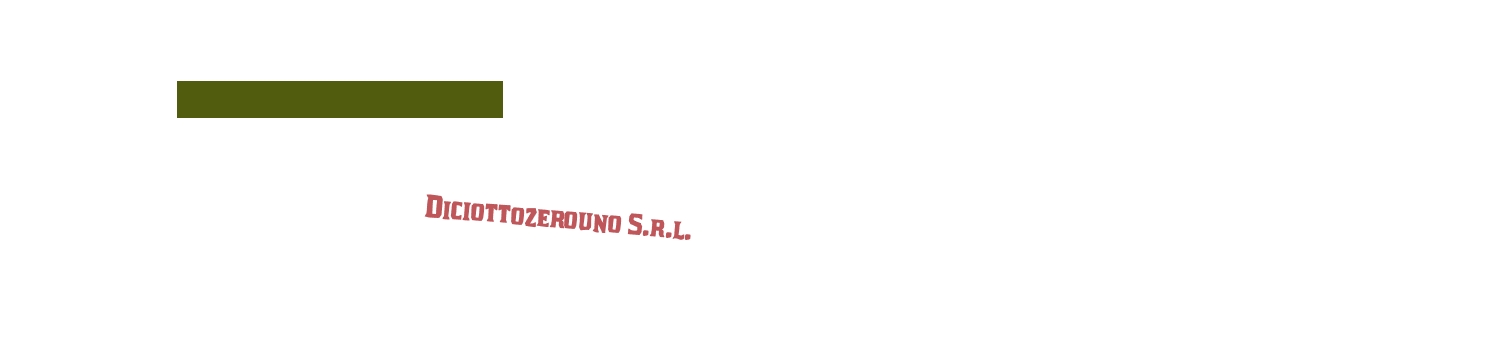 Diciottozerouno S.r.l. Diciottozerouno S.r.l.