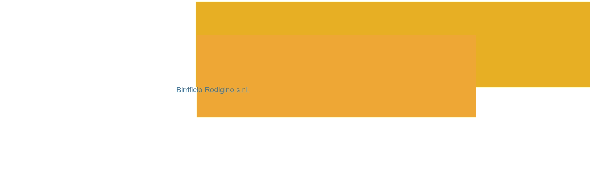 Birrificio Rodigino s.r.l.