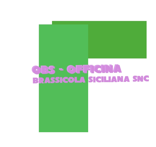 OBS - Officina Brassicola Siciliana Snc OBS - Officina Brassicola Siciliana Snc
