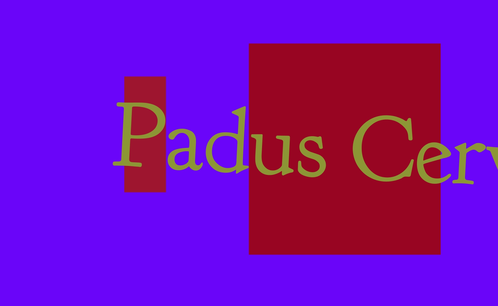 Padus Cervisiae Padus Cervisiae