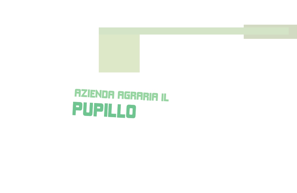 Azienda Agraria Il Pupillo