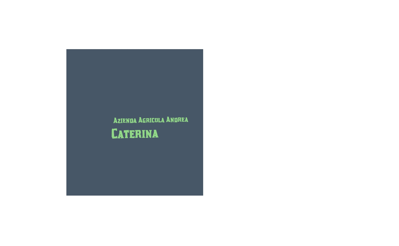 Azienda Agricola Andrea Caterina Azienda Agricola Andrea Caterina