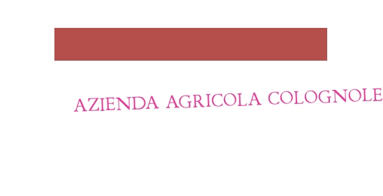 logo Azienda Agricola Colognole