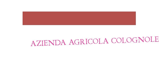 Azienda Agricola Colognole