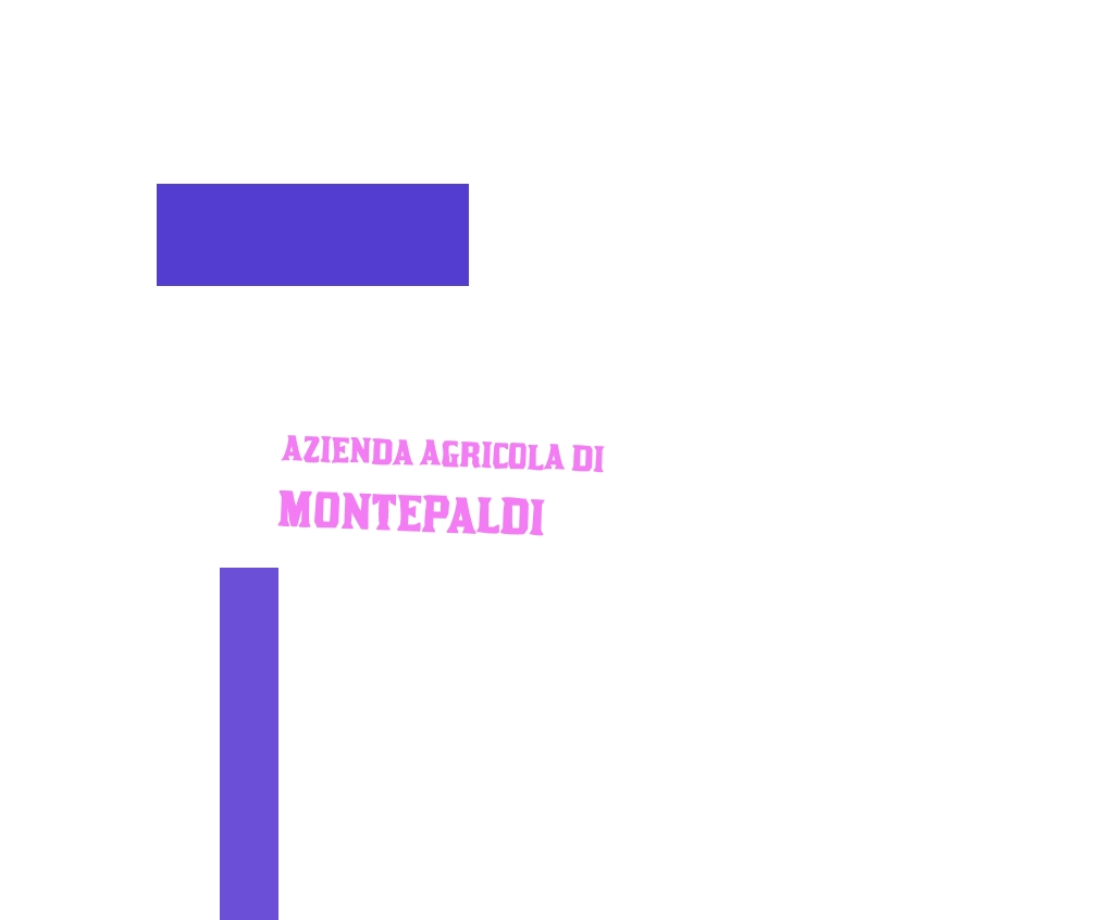 Azienda Agricola di Montepaldi